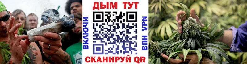 Каннабис Ganja  Щёлкино 